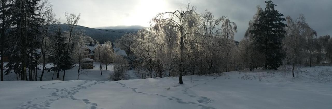 Chwila Moment - Dom W Okolicy Czarnej Gory, Nad Rzeka Villa Stronie Śląskie Exteriör bild