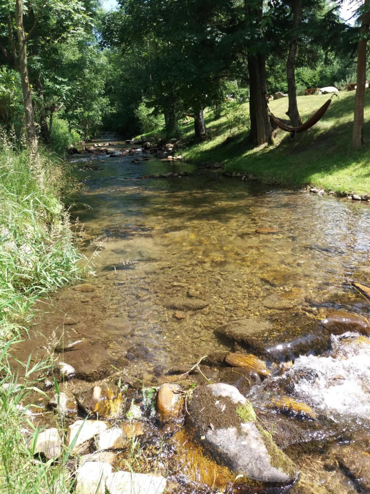 Chwila Moment - Dom W Okolicy Czarnej Gory, Nad Rzeka Villa Stronie Śląskie Exteriör bild